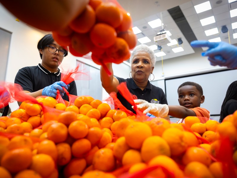 Explainers Guides Houston Landing
